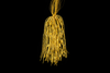 Gold Bugle Beads